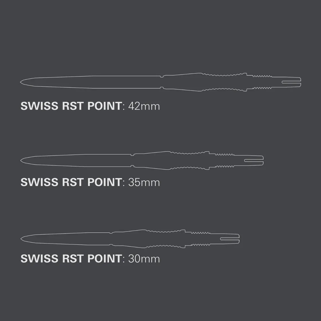 Target - Signature Swiss Point Rst - Ezüst - Darts Hegy - Direct Darts - 5